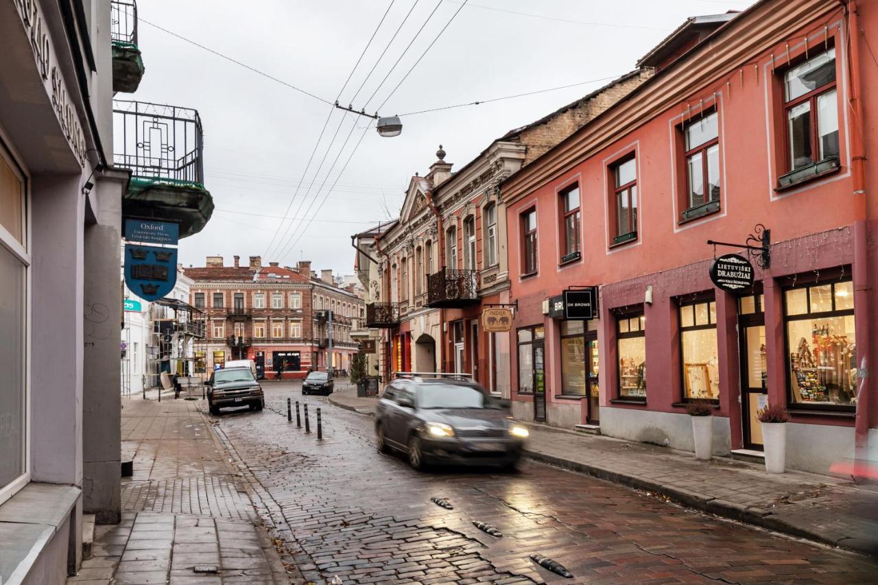 Lovely Apartment Traku Str. Vilnius Bagian luar foto