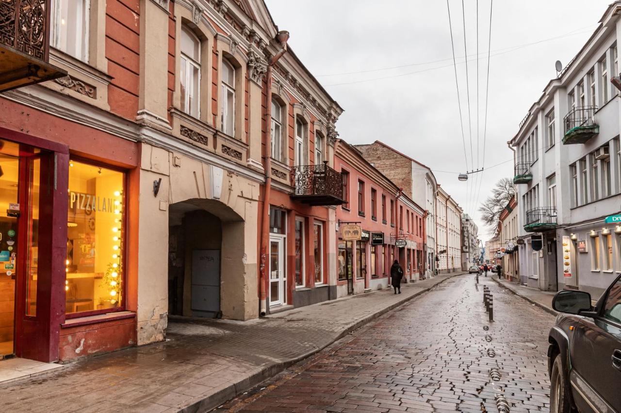 Lovely Apartment Traku Str. Vilnius Bagian luar foto